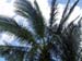 cozumel03