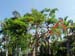 keywest09