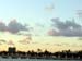 miami14