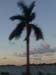 miami15